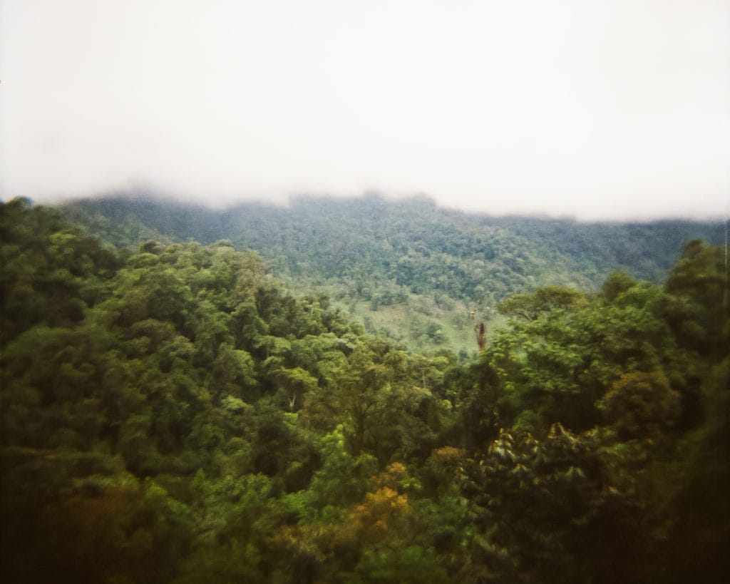 Mindo cloud forest in Ecuador