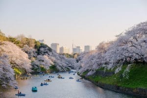 a view of boaters on a river surrounded by cherry blossom trees nd the city of Tokyo in the distance